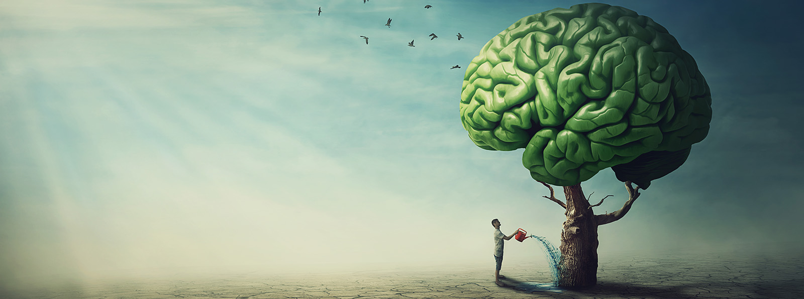 Surreal image of person watering a tree in the shape of a brain.